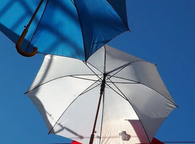 Le Cerisier Sainte-Foy-la-Grande